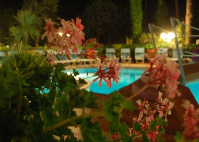 Hotel Ping Pong: Hotel Donatella Pinarella