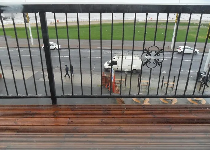 Pet Friendly hotel: Anzy Panzy Hotel