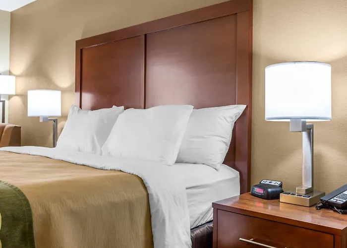 Beach hotel: Comfort Inn Collinsville Near St Louis