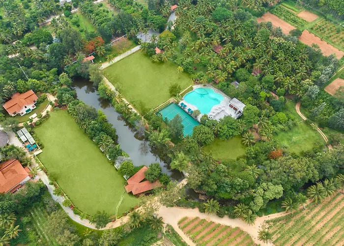 Big Banyan Vineyard & Resort