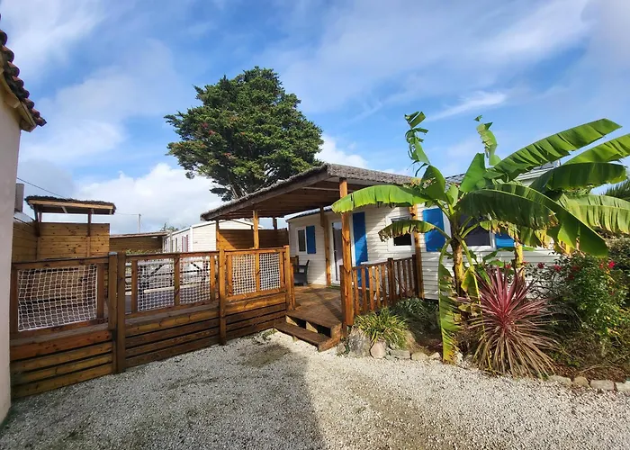 Hôtel accueillant les animaux: Camping l'Albatros