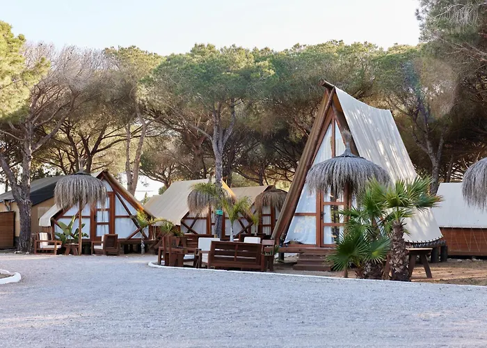 Camping: Taiga Conil