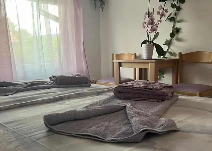 Goedkoop hotel: Pension Ttt