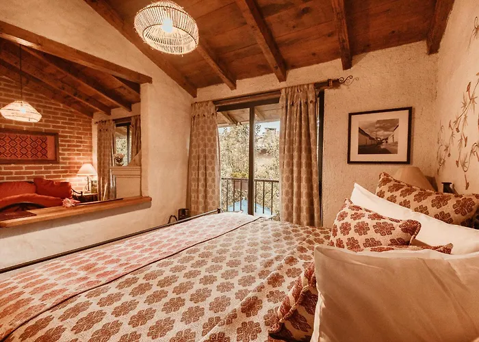 Pet Friendly hotel: Hotel Villas Casa Morada