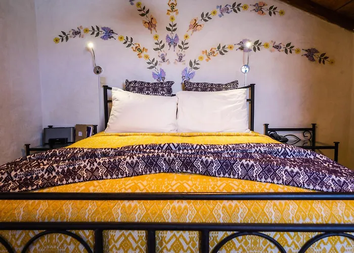 Pet Friendly hotel: Hotel Villas Casa Morada