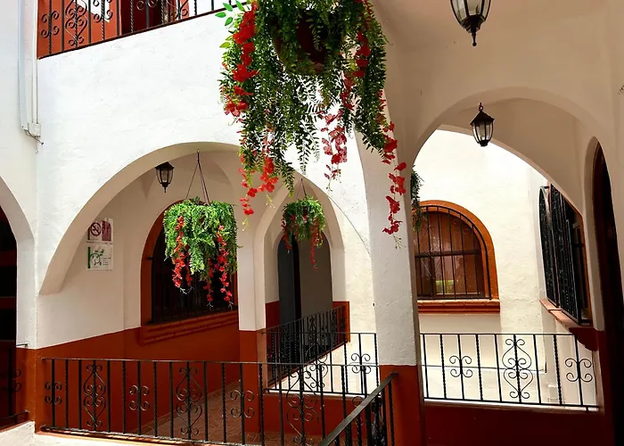 Coco De Mar Quinta Avenida