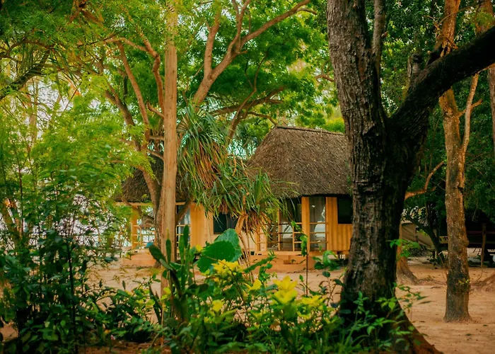 Hostel Mikadi Beach Camp&Backpackers Daressalam