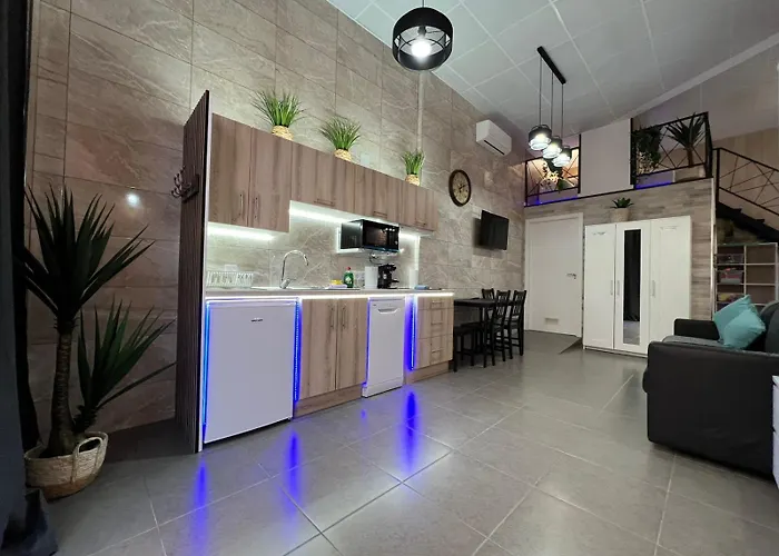 Apartahotel: Carcaixent 24