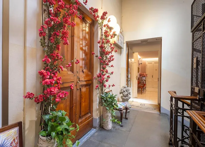 Hotel barato: Hotel Joli