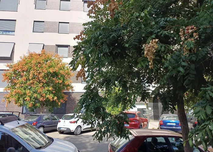 Hotel familiar: Estudios Nuevos Madrid Centro