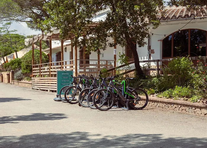 Holacamp Palamos Costa Brava
