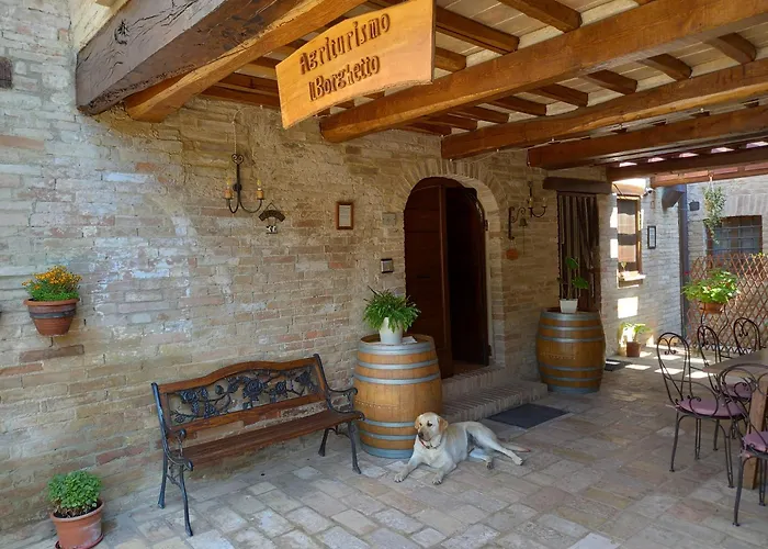 Casa vacanza: Agriturismo Il Borghetto