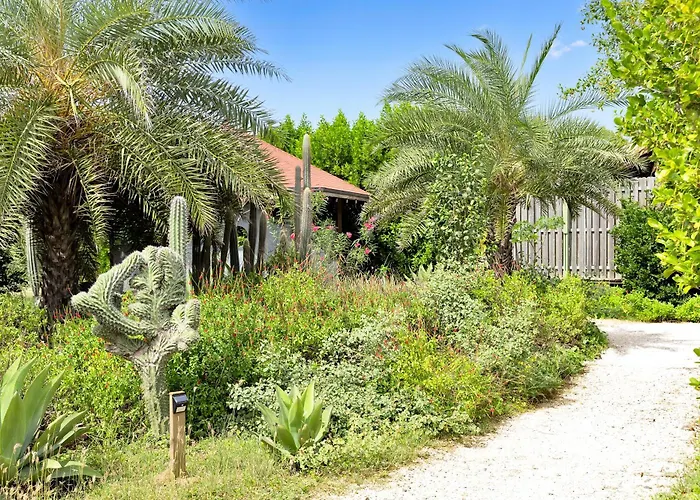 Red Palm Village