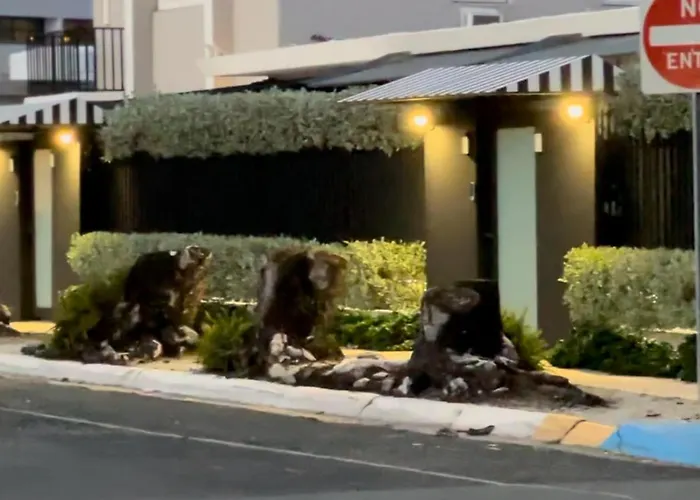 Vacation rental: Mar Del Norte