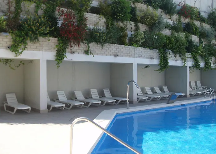 Animaux admis Alicante Hills