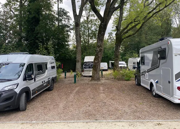 Camping Vliegenbos