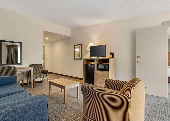 Cheap hotel: Quality Inn & Suites Nrg Park - Medical Center