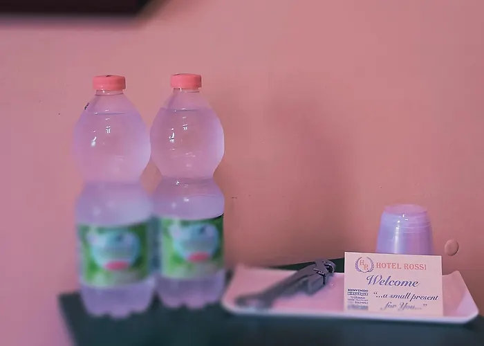 Albergo economico: Rossi Hotel