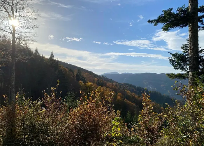 Hotel mit Aussicht: Hotel Waldeck in Todtnau