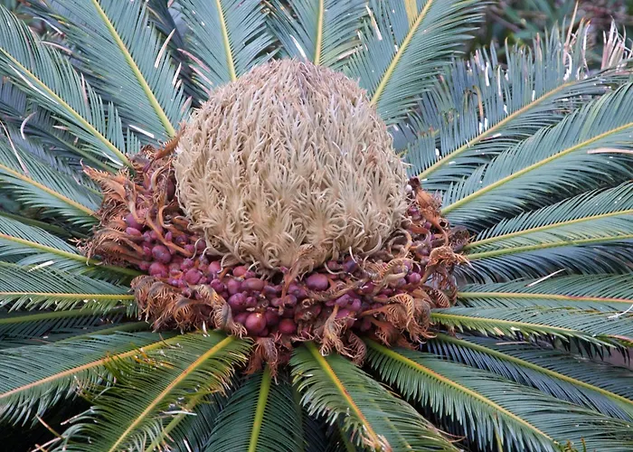 Hotel 3 stelle: Hotel Villa Adriana