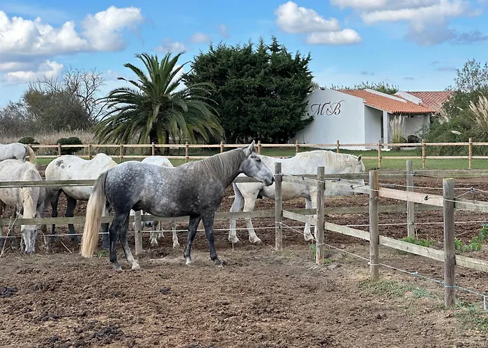 Hotel Mas Des Barres