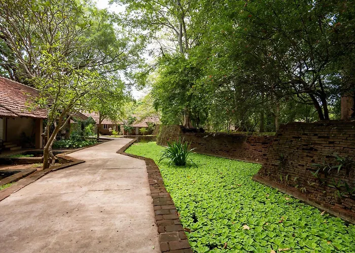 Hôtel: Sigiriya Village