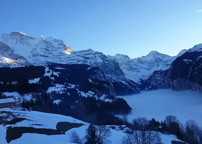 Hotel Schönegg Wengen