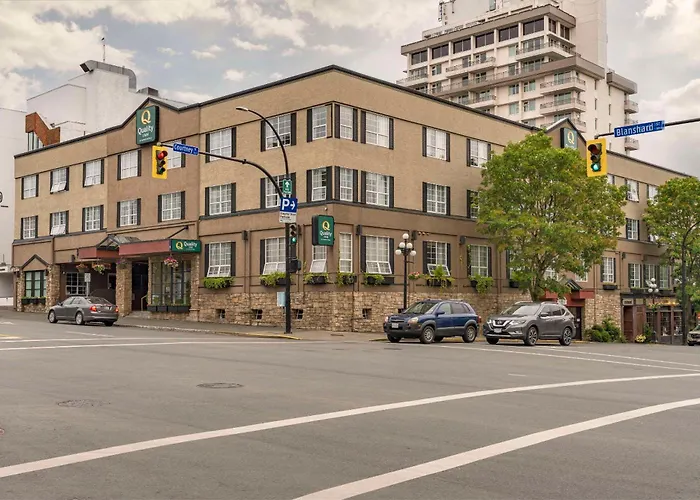 Pets Allowed Hotel Quality Downtown er Harbour