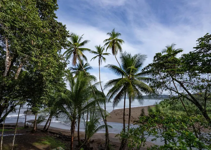 Pirate Cove