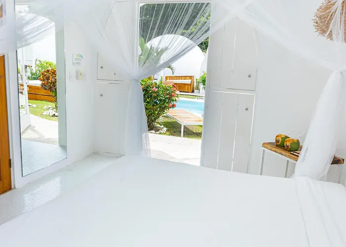 Pet Friendly hotel: Igloo Beach Lodge