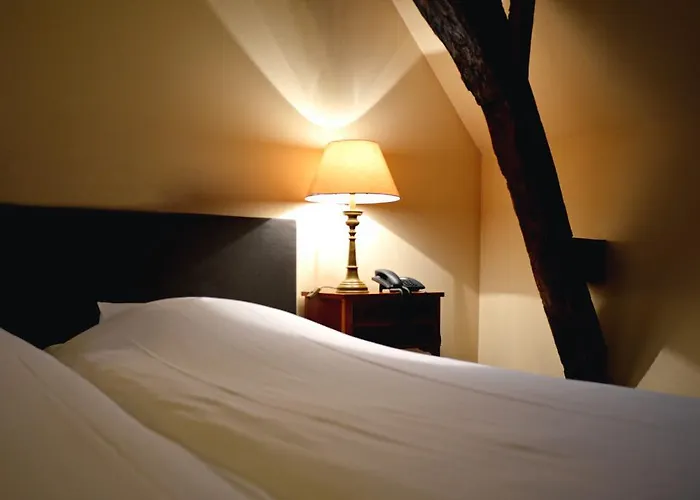 Huisdiervriendelijk hotel: Hotel de ABDIJ Dokkum