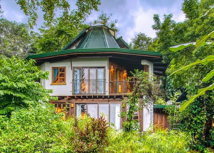 Pet Friendly hotel: Hotel Amor De Mar