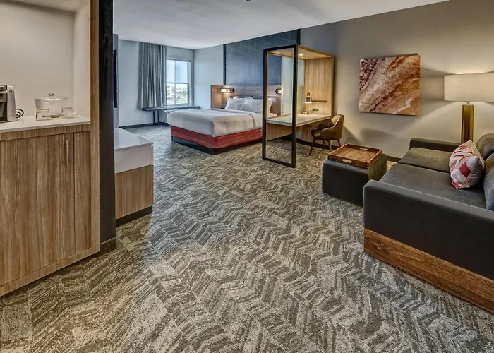 Hotel suites Springhill Suites By Marriott Amarillo
