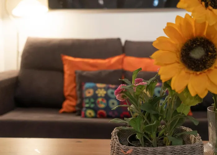 Gran Via Alaia Seasonal Living