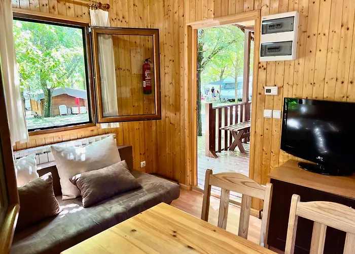 Perros hoteles Valle De