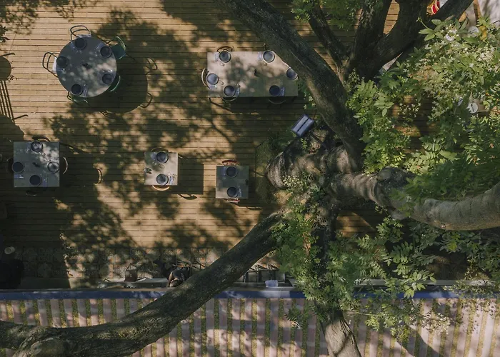 Hôtel bon marché: L'Hotel du Garage des Cevennes