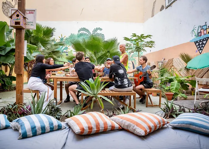 Hostel: Jungle House