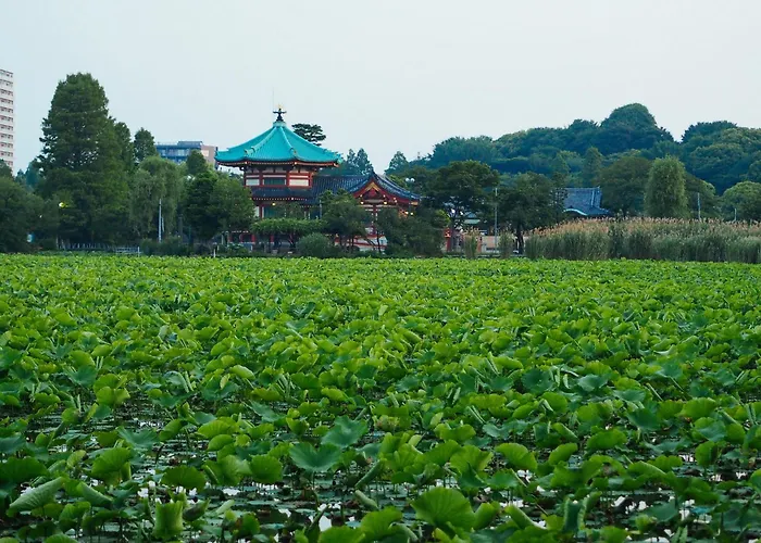  Tora Asakusa