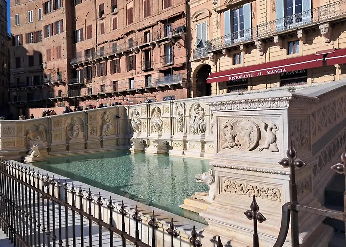 Hôtel accueillant les animaux: Hotel Minerva