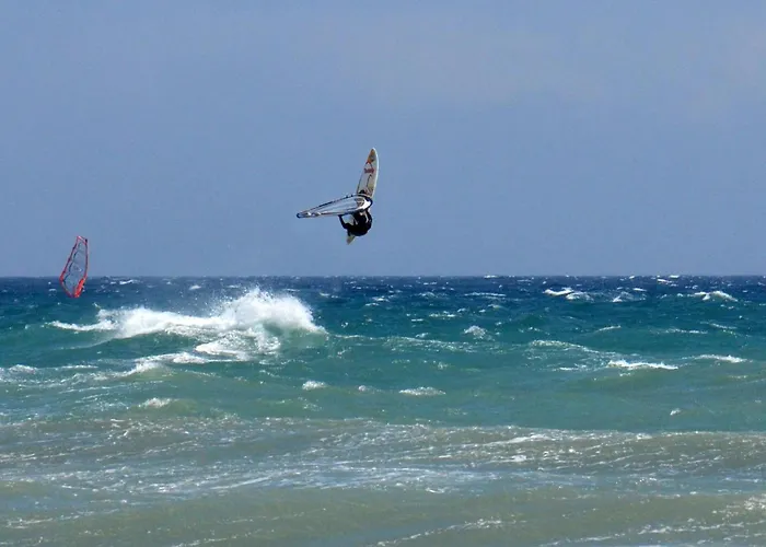 Hotel adatto agli animali: Residence Villa Carmen fronte mare a 50 mt