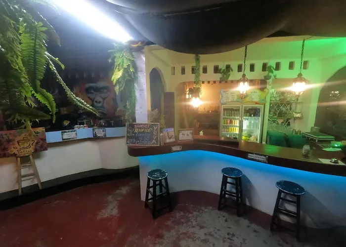 Haustierfreundliches Hotel: Moov Inn Garden Hostel