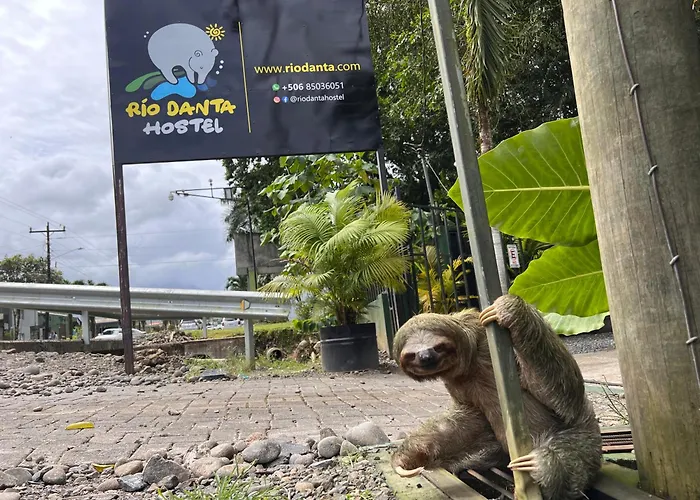 Rio Danta