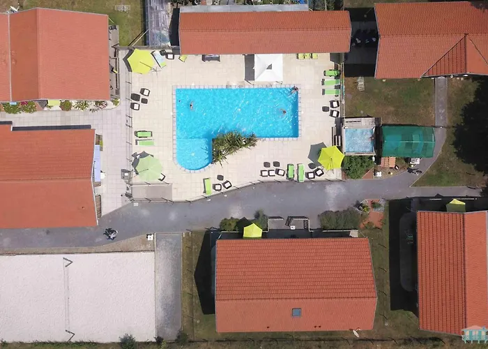 Village Drôles D'Oiseaux