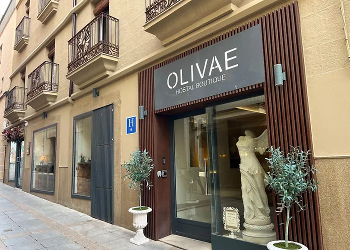 Olivae Hostal Boutique