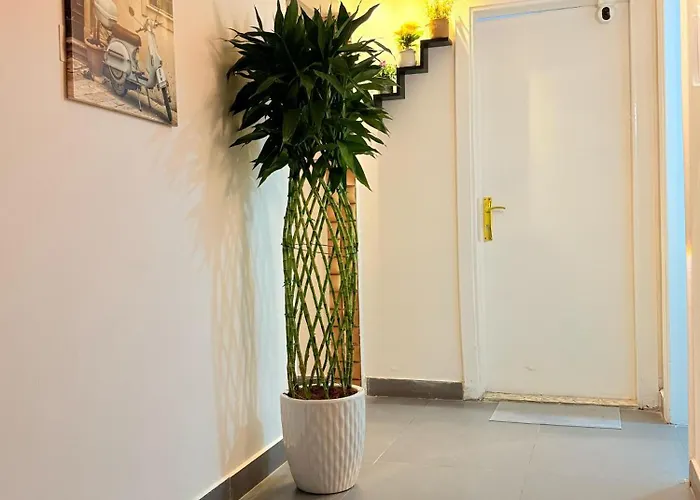 Guest house: Orchid International