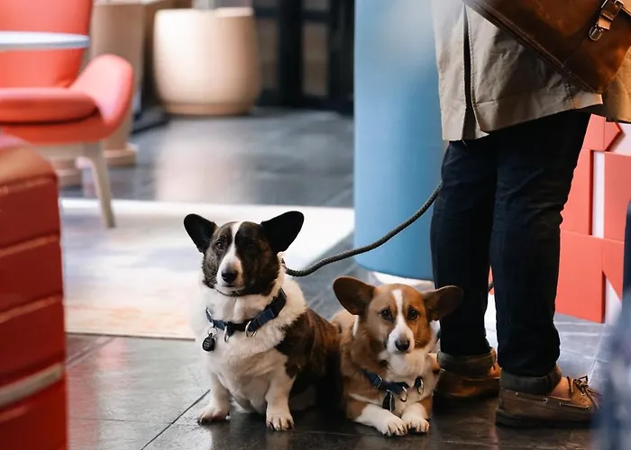 Hotel familiar: Hotel Indigo Barcelona Plaza Espana by IHG