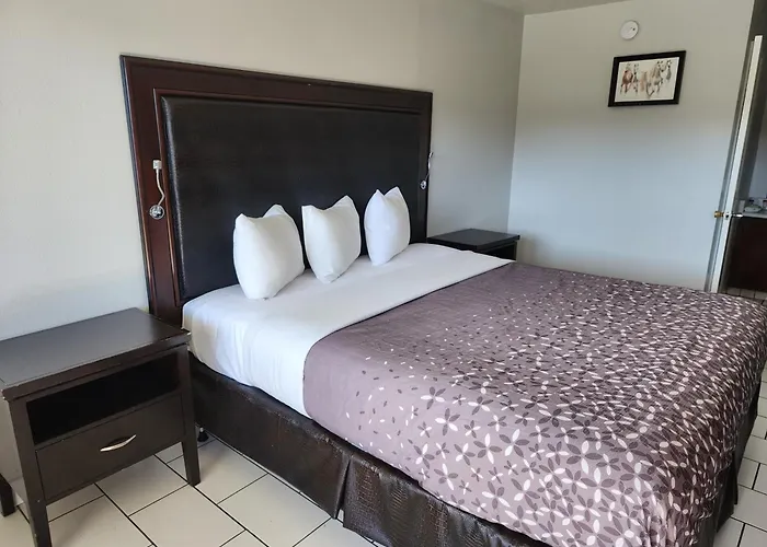Dog friendly hotels Pacific Inn