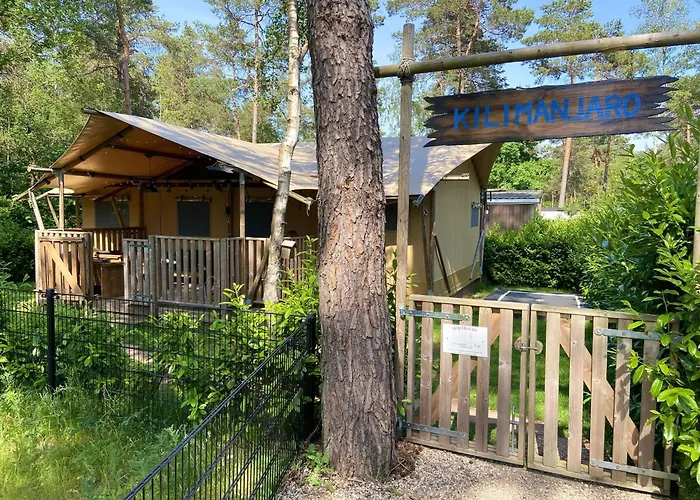 Hotel met uitzicht: Chalet&Glamping Ons plekje in het bos