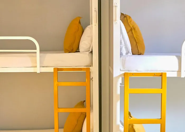 Hôtel accueillant les animaux: Sun & Moon Hostel