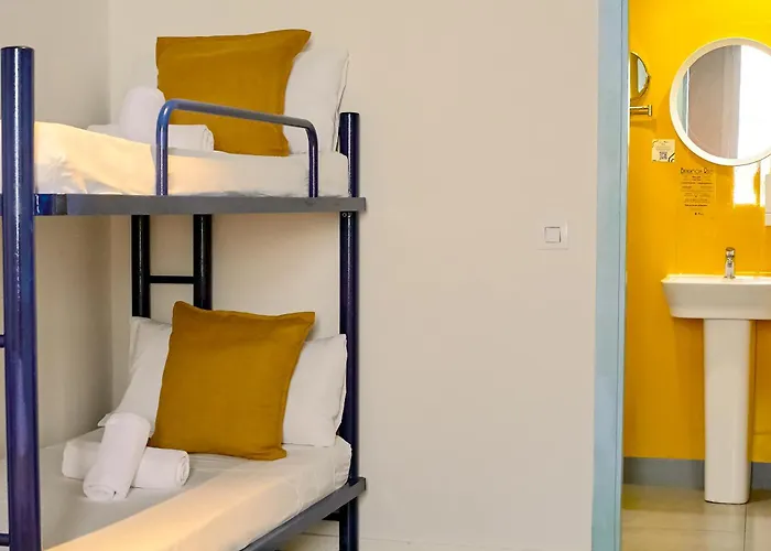 Hôtel accueillant les animaux: Sun & Moon Hostel